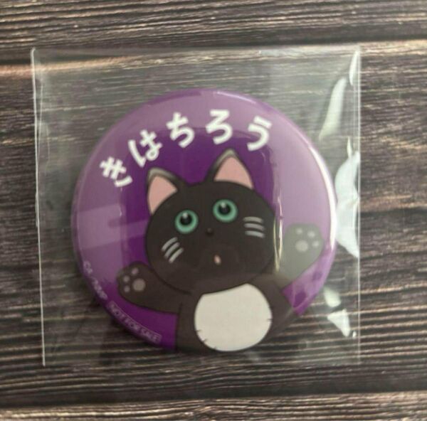 忍たま乱太郎 ナンジャタウン 綾部喜八郎 ミニゲーム 缶バ きはちろう