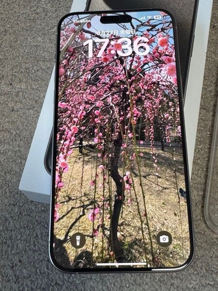 【超美品】Iphone15 Pro Max 256G ホワイトチタニュウム バッテリー100% simフリー カバー付属