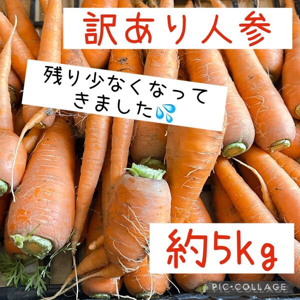 訳あり 人参 約5kg