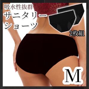 サニタリーショーツ 2枚組 M 吸水 生理 ショーツ 下着 生理用品 mo31