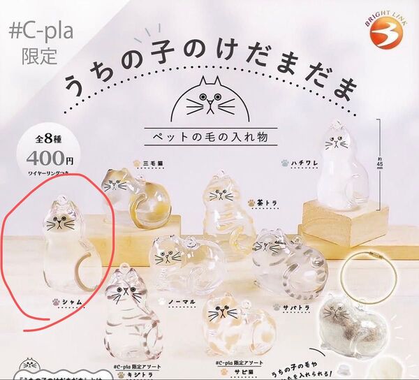 シャム猫 うちの子のけだまだま ねこ ガチャ 猫 ガチャガチャ