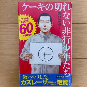 ケーキの切れない非行少年たち (新潮新書 820) 宮口幸治/著