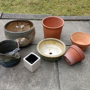 陶器鉢 鉢カバー いろいろ