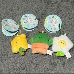 つぶらな瞳のお花屋ぷちマスコットBC 3種セット