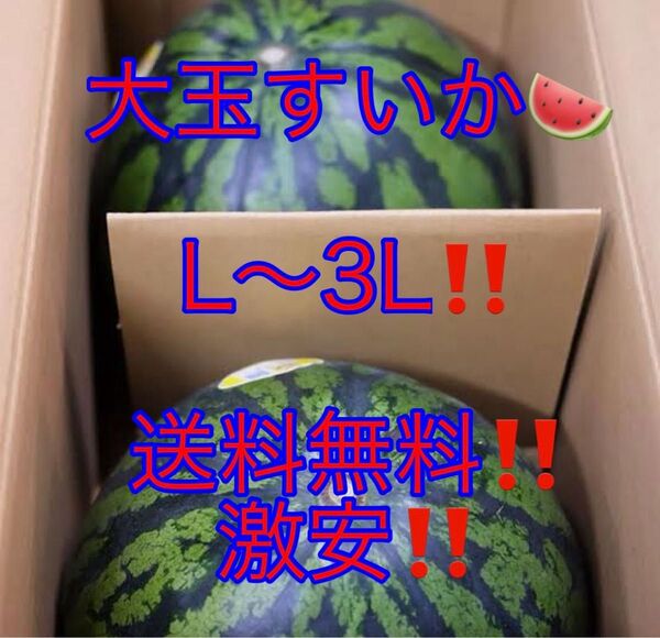 スイカ L 2L 3Lサイズ 2玉 約12kg箱込み すいか 激安 お買い得