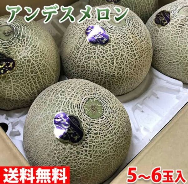 アンデスメロン L〜2Lサイズ 5~6個 箱込約 5キロ程度 メロン 赤メロン メロン マスクメロン 赤肉メロン 高知県産 約6㎏