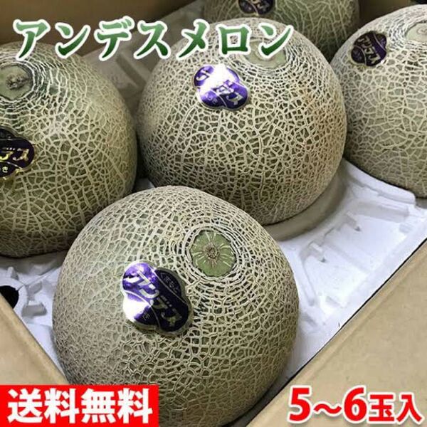 アンデスメロン L〜2Lサイズ 5~6個 箱込約 5キロ程度 メロン 赤メロン 赤肉メロン 高知産 高知県産 熊本県産 メロン