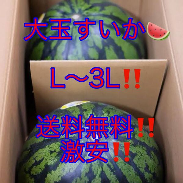 スイカ L 2L 3Lサイズ 2玉 約12kg箱込み すいか 激安 お買い得 抜群の出来 衝撃な大きさ