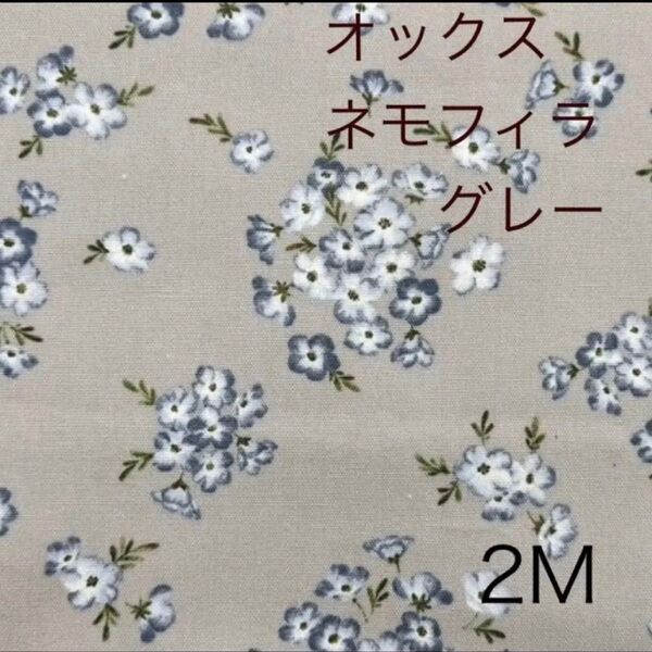 オックス ネモフィラ グレー グレージュ 生地 『LE DEPART(ル・デパール) フラワーガーデン 2M