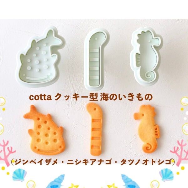 cotta 海クッキー型(ジンベイザメ・ニシキアナゴ・タツノオトシゴ) アイシングクッキー