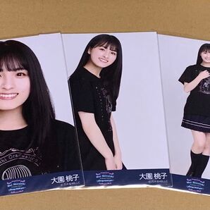大園桃子 白石麻衣卒業コンサート 生写真 コンプ 乃木坂46