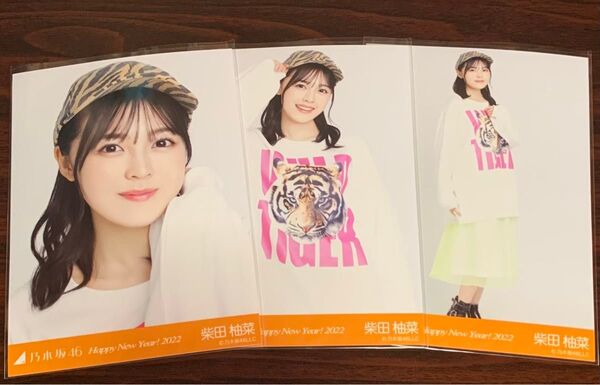柴田柚菜 happy new year! 2022 虎 寅 コンプ 干支 生写真 乃木坂46