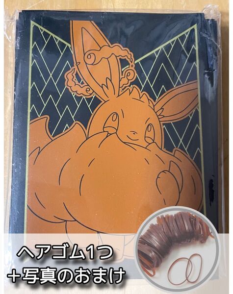 ヘアゴム+【新品未使用】公式海外限定 ポケカ イーブイ スリーブ ポケモンカード シールド 65枚入