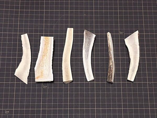 2025-036 半割6本(小さめ)☆蝦夷鹿☆鹿角☆鹿ノ角☆鹿の角☆シカ☆エゾシカ☆犬のおもちゃ