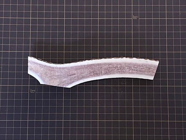 2025-036 半割(18cm)☆蝦夷鹿☆鹿角☆鹿ノ角☆鹿の角☆シカ☆エゾシカ☆犬のおもちゃ