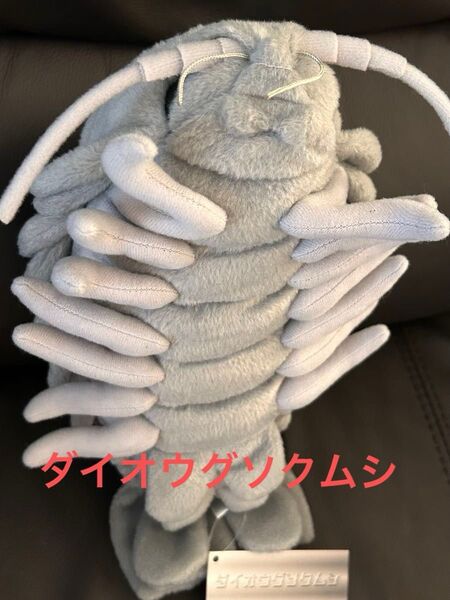 ダイオウグソクムシ ぬいぐるみ タグ付き 深海生物