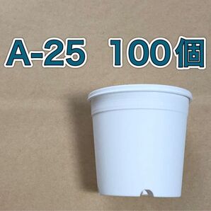 《A-25》 白 100個 プラ鉢 植木鉢 スリット鉢 多肉植物