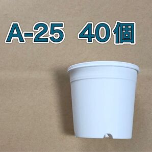 《A-25》 白 40個 プラ鉢 植木鉢 スリット鉢 多肉植物