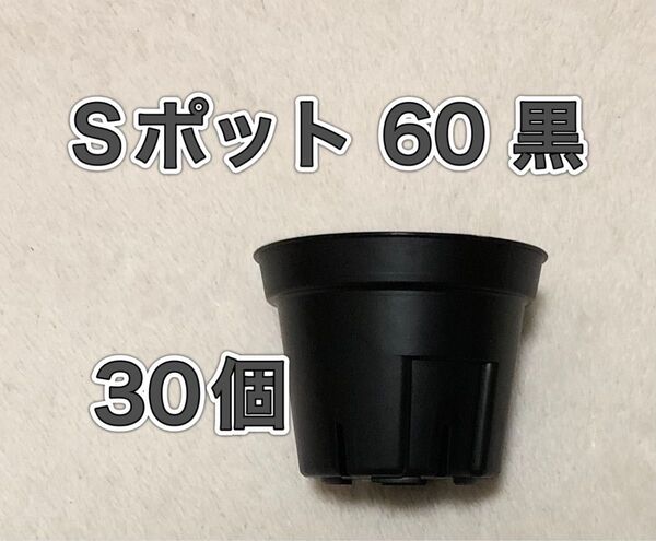 《Sポット60》 黒 30個 スリット鉢 プラ鉢 多肉植物