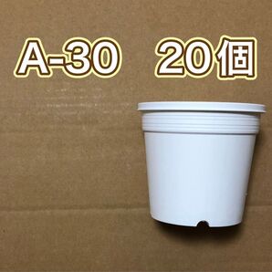 《A-30》白 20個 プラ鉢 丸型 スリット鉢 多肉植物