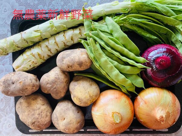 無農薬野菜詰め合わせ。