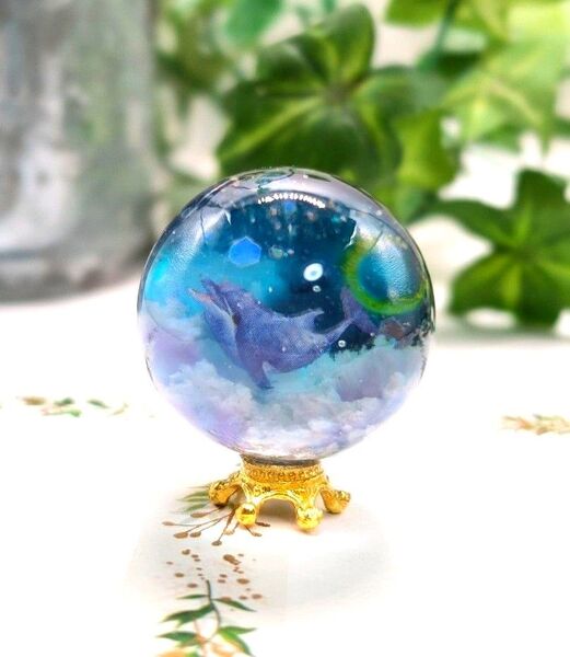 海雲のイルカ〜夜〜