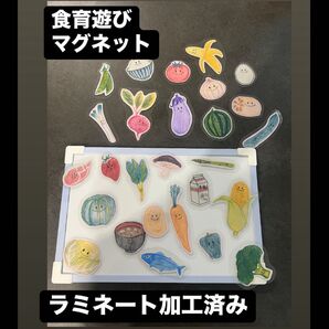 保育教材 マグネット遊び 食材 ラミネート加工済み完成品 食べ物 保育園 幼稚園 食育