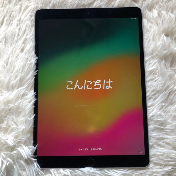 【残り1台】iPad Pro 10.5 256GB 【すぐ発送】 iPad Apple Wi-Fi シルバー A1670