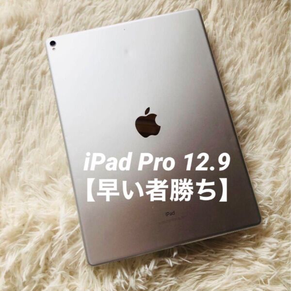 【完動品】iPad Pro 12.9 64GB 第2世代【すぐ発送】 iPad Apple Wi-Fi シルバー