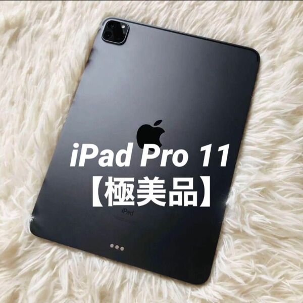 【完動品】iPad Pro 11 第3世代 256GB 【すぐ発送】 Apple Air mini