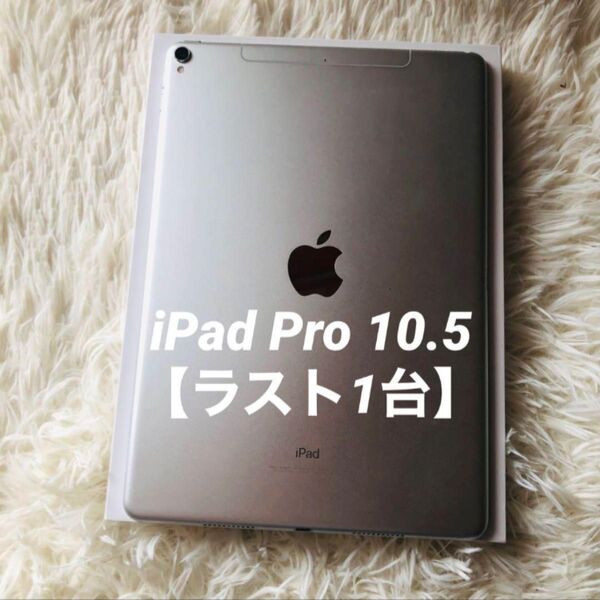 【完動品】iPad Pro 10.5 256GB 【すぐ発送】 Apple Wi-Fi タブレット シルバー Wi-Fi版モデル