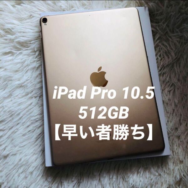 【入荷予定なし!】iPad Pro 10.5 512GB 【すぐ発送】 Apple Pro 2017 2018 2019 アップル