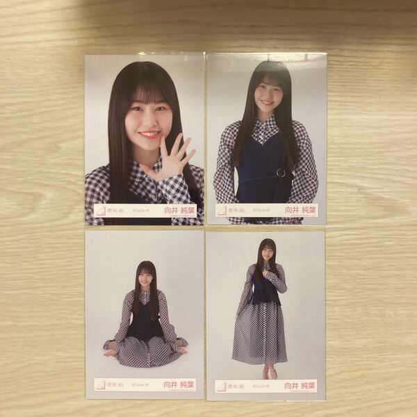 櫻坂46 デニムコーデ 向井純葉 生写真 ヨリ チュウ 座り ヒキ コンプ