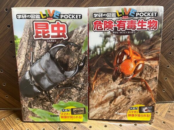 夏休みに!昆虫採集&危険生物図鑑セット | 学研の図鑑ライブポケットシリーズ2冊セット