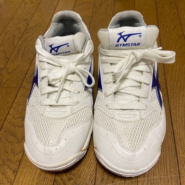 体育館シューズ ムーンスター 23cm 体育 クラブ ジム サークルに 足の負担が少ない 運動しやすい