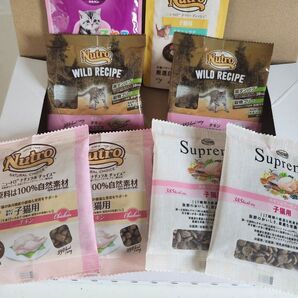 子猫セット ニュートロ ワイルドレシピ お試し キトン