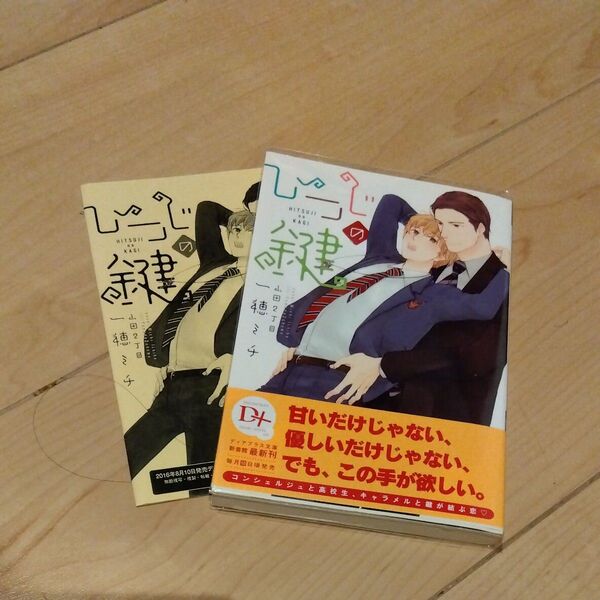 【初版帯付き】ひつじの鍵 (新書館ディアプラス文庫 408) 一穂ミチ/著※ペーパー付き