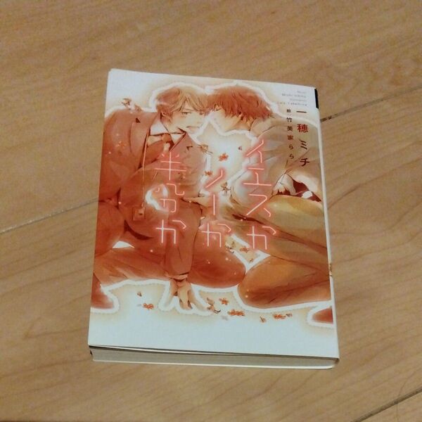 イエスかノーか半分か (新書館ディアプラス文庫 365) 一穂ミチ/著