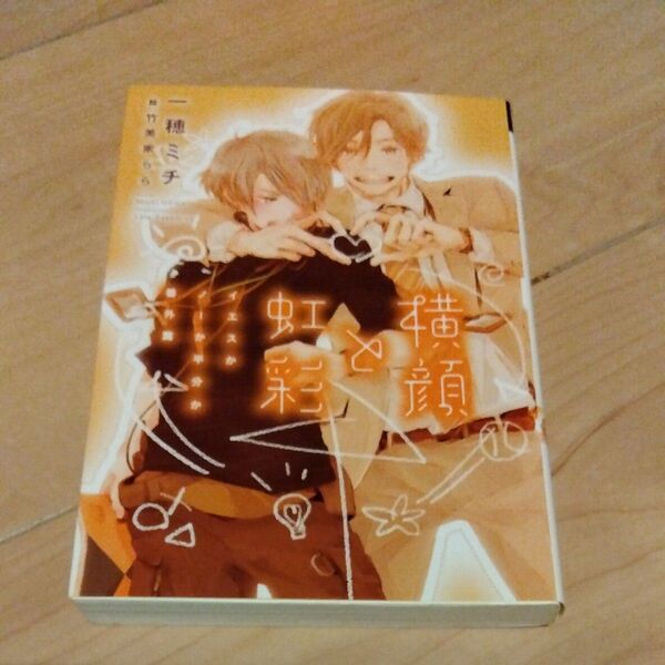 横顔と虹彩 (新書館ディアプラス文庫 422 イエスかノーか半分か 番外篇) 一穂ミチ/著