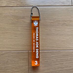 アルビレックス新潟 トーマスデン選手 ルームキーホルダー