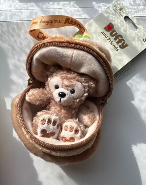 上海ディズニー現地購入 正規品 ダッフィー 2025カラフルフルーツシリーズ ぬいぐるみキーチェーン 新品タグ付き