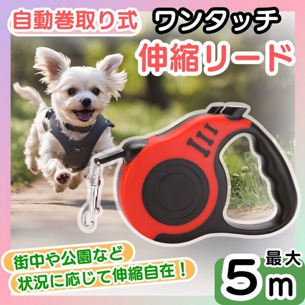 【レッド】伸縮リード 自動巻き取り ロック付き 5m 散歩 犬用 リード 1個