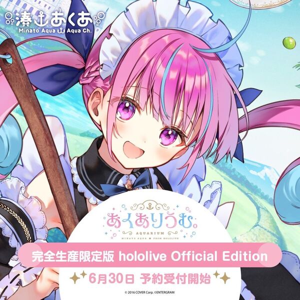 湊あくあ あくありうむ。 hololive official edition Nintendo Switch