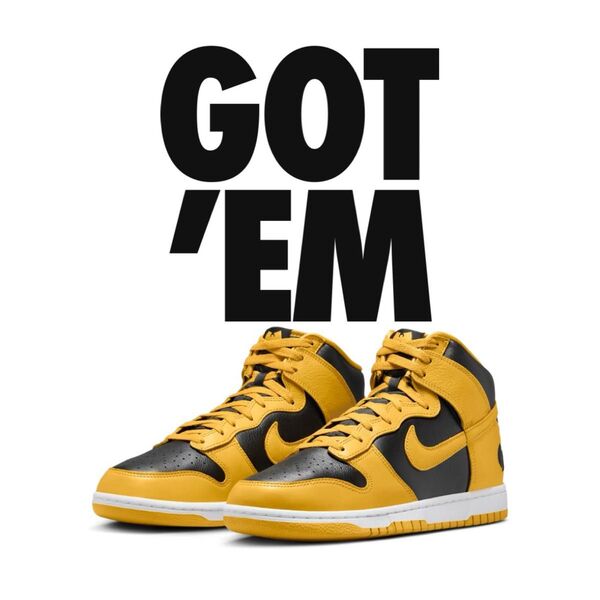 Wu-Tang Clan × Nike Dunk High Retro PRM "Black and Pollen" 28cm