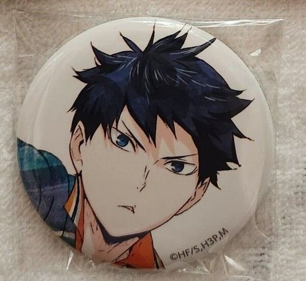 ハイキュー!! Ani-Art 缶バッジ 影山飛雄