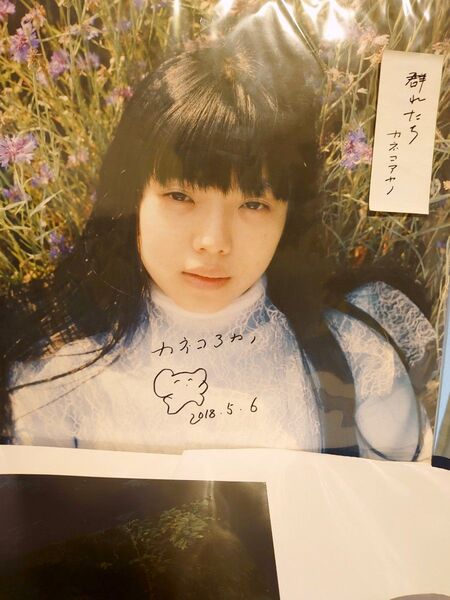 限定盤レコード!サイン入り!カネコアヤノ 群れたち インサート×2 ホワイトスリーブ付き!アナログ!オマケ付き!入手困難!