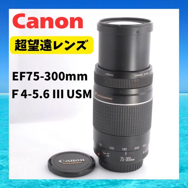 【美品】超望遠レンズ キャノン純正 EF75-300mm F4-5.6 Ⅲ USM 一眼レフ レンズ スポーツ撮影 屋外 ズーム