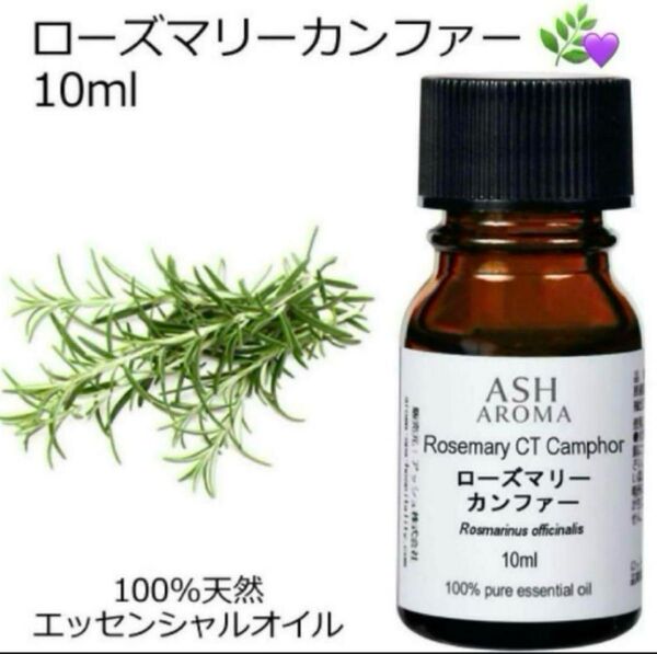 【10ml】高品質 100%天然精油 ローズマリー 精油 アロマ エッセンシャルオイル アロマオイル ●追加ごとに同梱割引あり