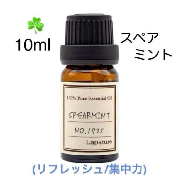 【100%天然精油】高品質 スペアミント ミント 精油 アロマオイル エッセンシャルオイル アロマ ●アロマ追加ごとに同梱割引あり
