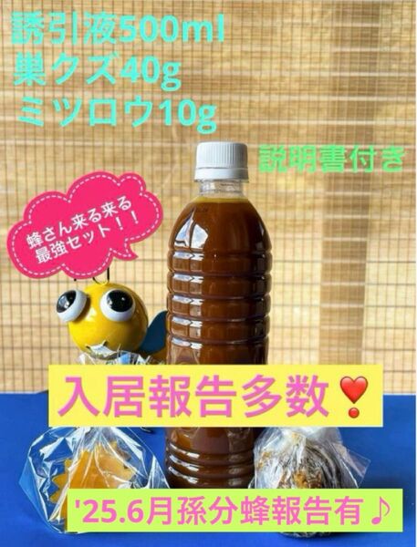 日本蜜蜂誘引液♪ 入居報告多数(写真2〜10) '25.6月九州での孫分蜂報告有